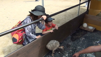秋吉台サファリランド 2013/09/08 22:25:06