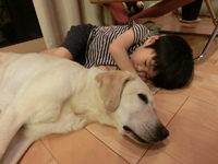 体験レッスン 2013/05/25 17:34:57