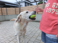 あーそーぼ♪ 2013/10/01 23:58:28