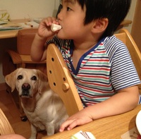 心の声 2013/07/02 16:59:32