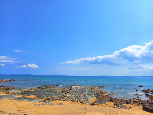 西海岸と東海岸♪