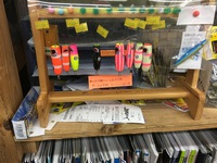 サンノリー入荷情報