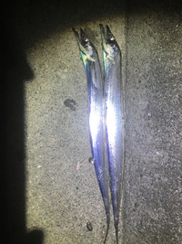 忘れてたわけではないですよ笑