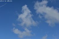 台風８号・・・ 2014/07/06 22:20:10