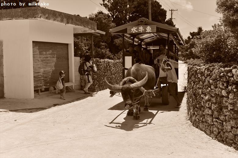 竹富島 2014/08/14 sepia part3