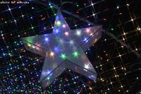 光のガーデンイルミネーション 2014/12/16 00:32:34