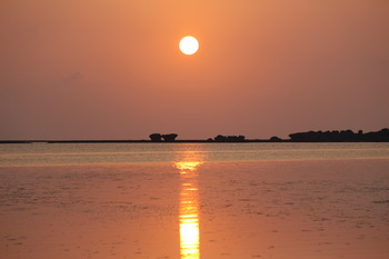 夕日