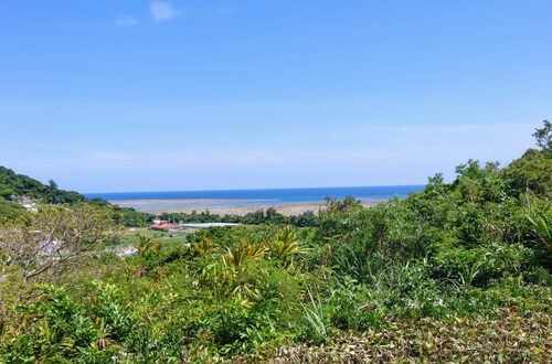 沖縄そば峰〈南城市〉