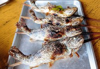 船場亭☆栃木グルメ