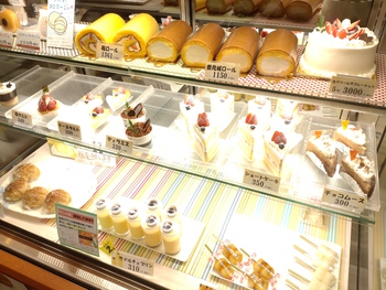 涼みに来ませんか\(^^)/