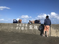 のーんびり(石垣島シュノーケルジェットレンタル) 2020/11/25 21:44:50