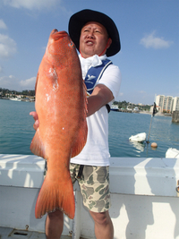 沖縄県　釣り船ゆりかでアカジン釣り。