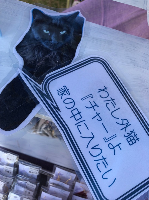つなぐフェスご来場ありがとうございました つなぐフェスご来場ありがとうございました
