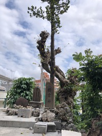 龍宮神　意外と近くにもあるんです