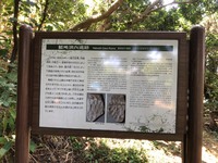 藪地島　ジャネー洞