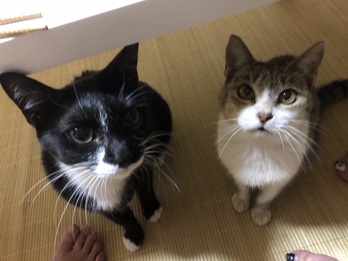 ブログに書けなかったこと・・ ブログに書けなかったこと・・