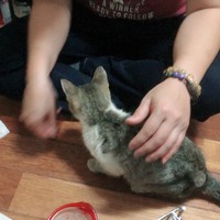 ブログに書けなかったこと・・