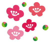 えっちゃんのお家においでよ2月27日の隠れ家的なミニイベント