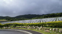 家族一同で清明祭… 2010/04/21 12:35:09
