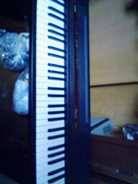 わたしんちの楽器？ 2008/01/21 16:30:00