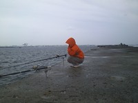 釣り納め 2011/12/30 16:26:14