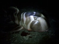２人で遠征～後編～ 2012/03/25 21:20:01