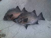 プチ遠征～後編～ 2012/02/24 10:46:51