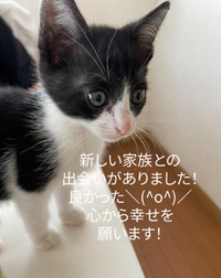 新しい家族見つかりました 沖縄 浦添 美容室 ｱﾝﾍﾞﾘｰﾙｵﾌｨｼｬﾙﾌﾞﾛｸﾞ 2021/10/27 08:53:48