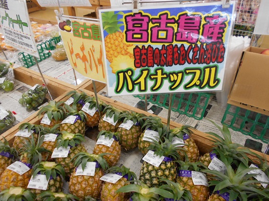 宮古島産　パイナップル