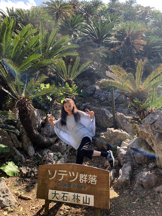 大石林山