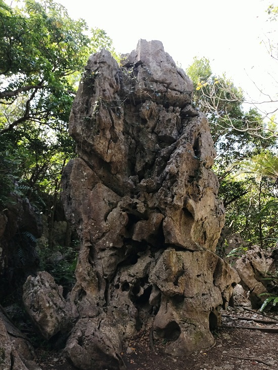 大石林山