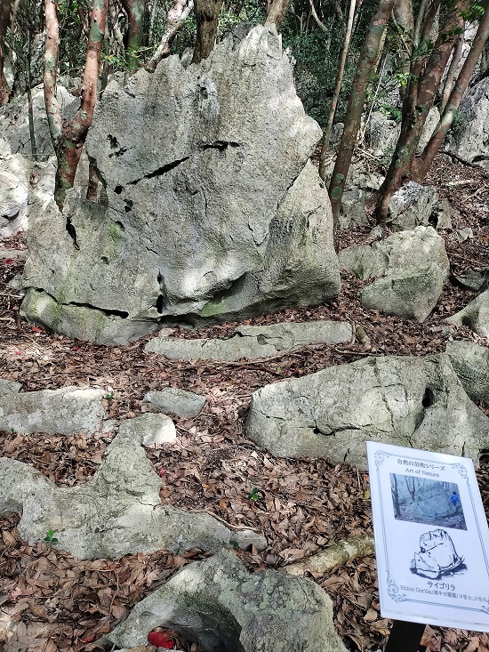 大石林山