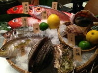 東京築地の海の幸が香港に上陸です！！ 2014/09/05 17:20:12