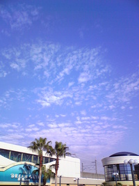 秋空の思い出・「私一人の一日」 2007/10/29 12:41:07