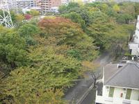 今日３３歳・・・ 2007/11/02 11:28:09