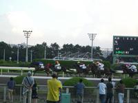 馬デビュー 2008/09/01 22:45:08