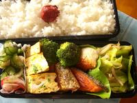 今日のお弁当 2008/03/11 11:38:58