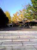 今から沖縄に… 2007/11/17 10:47:24