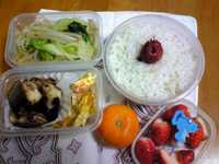 雪は少し・・・今日のお弁当は 2008/01/23 10:08:10