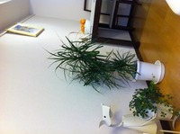 リハ 2011/11/26 14:40:25