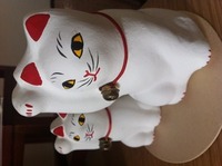 寒い。熱い。 2012/01/29 00:09:57
