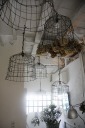DINNER CONCERT 開催決定!!!!!! 2012/07/25 13:33:59