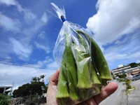 【WAU FARM】無農薬の無人野菜販売 2023/10/10 21:51:19