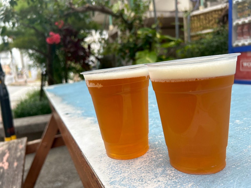 大人の遊び心をくすぐる初夏のがちまーいフラワーツアー