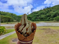 カラキソフトクリーム（沖縄シナモン）道の駅 おおぎみで味わうやんばるのスパイシーソフトクリーム