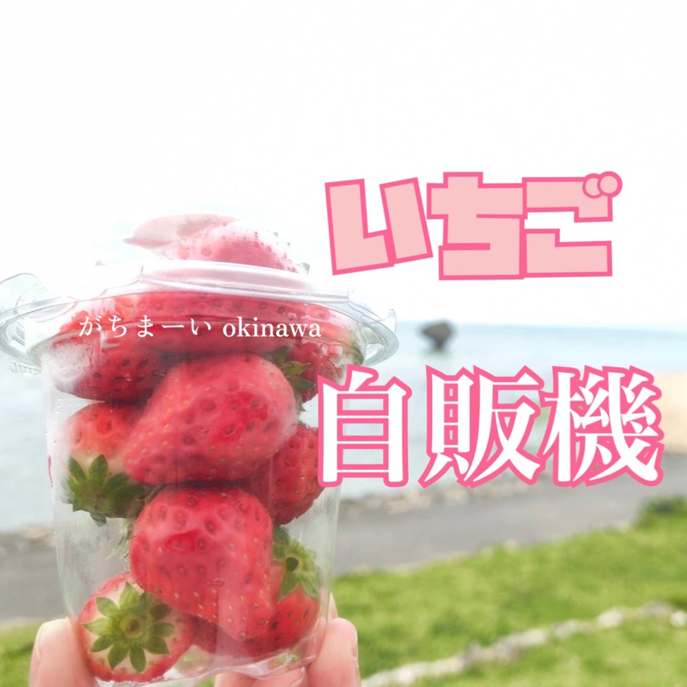 がちまーい沖縄（ファミコンブログ）:いちご自販機では摘みたて新鮮な