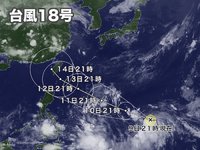 >゜))))彡タリムタマン>゜))))彡 2017/09/14 18:29:36