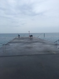 遠征！！ 2016/06/11 19:17:51