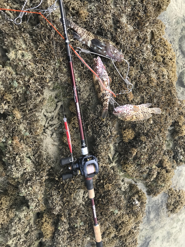 ベイトタックルの勧め In Okinawa 沖縄ルアーfishing 釣りのりょう坊