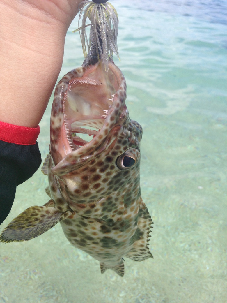 久高島釣行その1 沖縄ルアーfishing 釣りのりょう坊